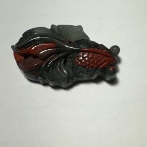 African Bloodstone Goldfish